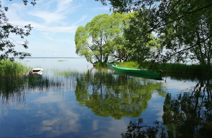 Заповедники Московской области и Подмосковья